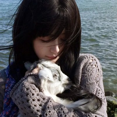 《屋大维死了》封面
